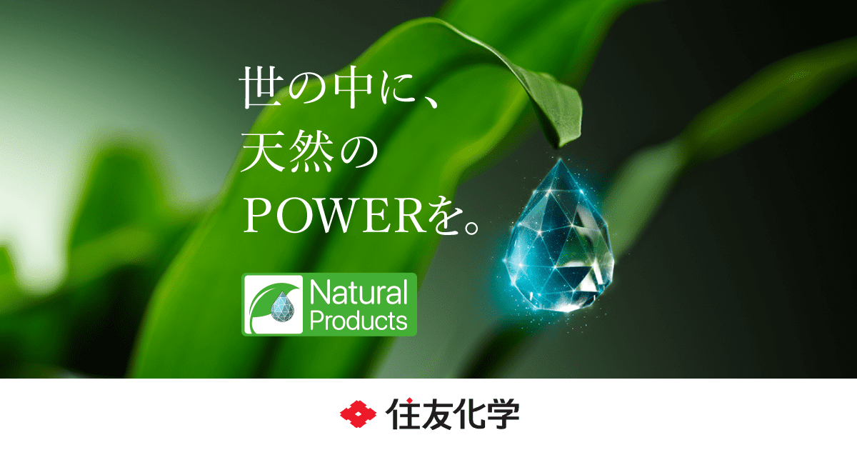 天然物化学 - 植物編 - Amazon.com: 校园常见绿化植物识别手册: 9787564349240: 匿名: Books